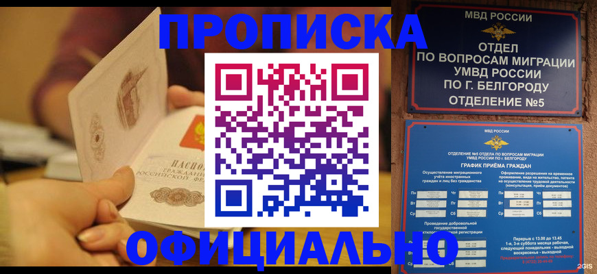 временная регистрация недорого в Старом Осколе